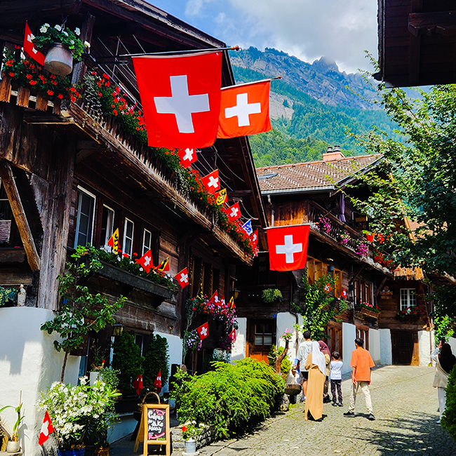 sightseeing-raclette-bus-tour-interlaken-switzerland
