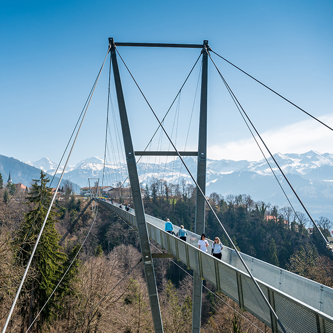 Panorama Bridge