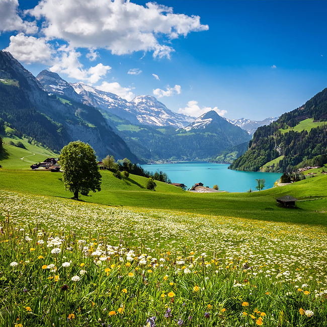sightseeing-raclette-bus-tour-interlaken-switzerland