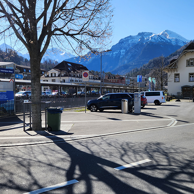 sightseeing-raclette-bus-tour-interlaken-switzerland