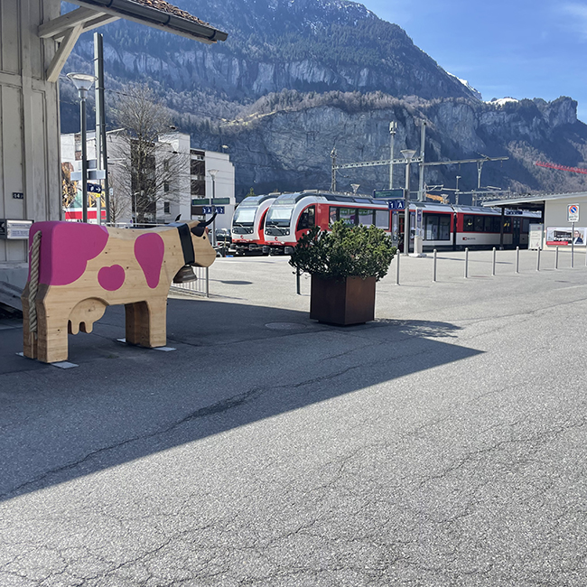sightseeing-raclette-bus-tour-interlaken-switzerland